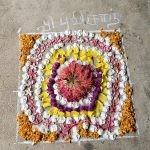 549062211_122275838654064951_656595234822384722_n