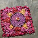 549509629_122275838822064951_7269716078265671217_n