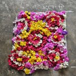 550051910_122275838636064951_2944770768899190449_n