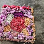 550178217_122275838630064951_3803536090616841321_n