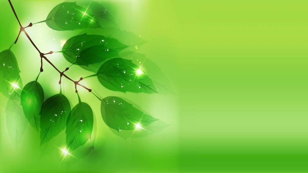 wallpaper2you_250293
